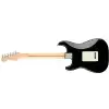 Fender American Pro Stratocaster Maple Fingerboard, Black