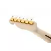 Fender James Burton Telecaster ML Blue Paisley