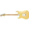 Fender Player Stratocaster MN BCR