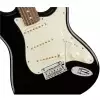 Fender American Pro Stratocaster RW
