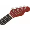 Fender Venice Cherry