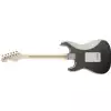 Fender Eric Clapton Stratocaster MN Pewter