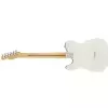 Fender Player Telecaster MN PWT