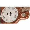 Fender Brown Derby Resonator, Brown Stain
