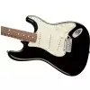 Fender American Pro Stratocaster RW