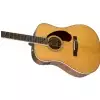 Fender PM-1 Standard Dreadnought