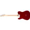 Fender Deluxe Telecaster Thinline MN CAR