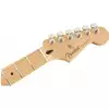 Fender Player Stratocaster MN BCR