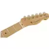 Fender Brad Paisley Road Worn Telecaster