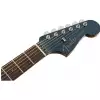 Fender Newporter Classic Hrm