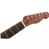 Fender Brown Derby Resonator, Brown Stain