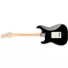 Fender American Pro Stratocaster RW
