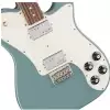 Fender American Pro Telecaster Deluxe RW