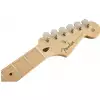 Fender Player Stratocaster Plus Top MN