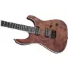 Jackson Pro Series Soloist Sl2p Ht Mah, Mahogany Body With Poplar Burl Top, Ebony Fingerboard, Carmel Burl