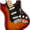 Fender Player Stratocaster Plus Top MN