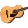Fender PM-2 Standard Parlor Nat