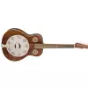 Fender Brown Derby Resonator, Brown Stain