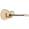 Fender Newporter Player, Walnut Fingerboard, Champagne