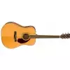 Fender PM-1 Standard Dreadnought