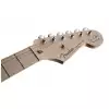 Fender Eric Clapton Stratocaster MN Pewter