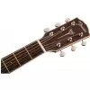 Fender PM-1 Standard Dreadnought