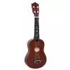 Fzone FZU-002 21 Inch Coffe ukulele Fzone FZU-002 21 Inch Coffe ukulele