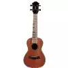 Fzone FZU-05S 21 Inch ukulele