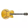 Ibanez PM2-AA