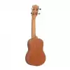 Canto C10s