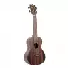 Canto DUC460