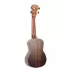 Canto DUC460