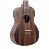 Canto DUC460