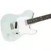 Fender American Performer Telecaster RW