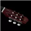 Godin Multiac Grand Concert Duet