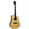 Dowina Cocobolo 3C DCE Dowina Cocobolo 3C DCE