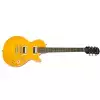 Epiphone Slash AFD Les Paul Performance Pack