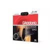 D′Addario EXP 12