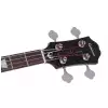 Epiphone Jack Casady Bass EB