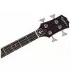 Epiphone Embassy Pro Bass AI