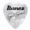 Ibanez 1000PG-PW