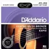 D′Addario EXP 13