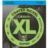 D′Addario EXP 165