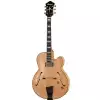 Ibanez PM200-NT
