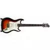 Hagstrom F301 3SB