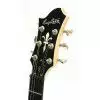 Hagstrom F301 3SB