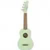 Fender Venice Surf Green