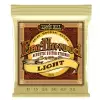 Ernie Ball 2004 Earthwood Light