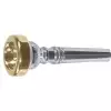 Vincent Bach do flugelhornu 342 3C gold rim Vincent Bach do flugelhornu 342 3C gold rim