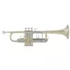 Vincent Bach AC190